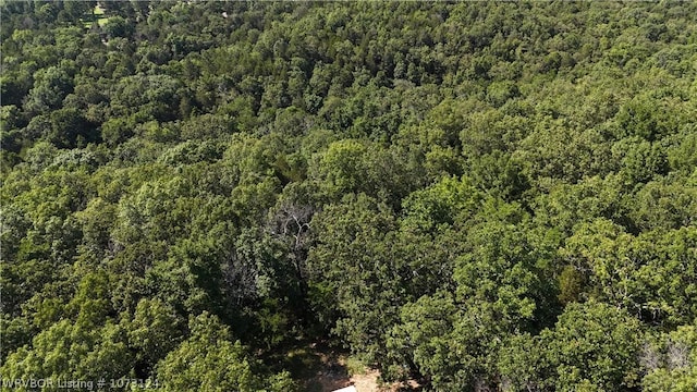 0000 Summer Loop, Cedarville, AR 72932 - photo 35