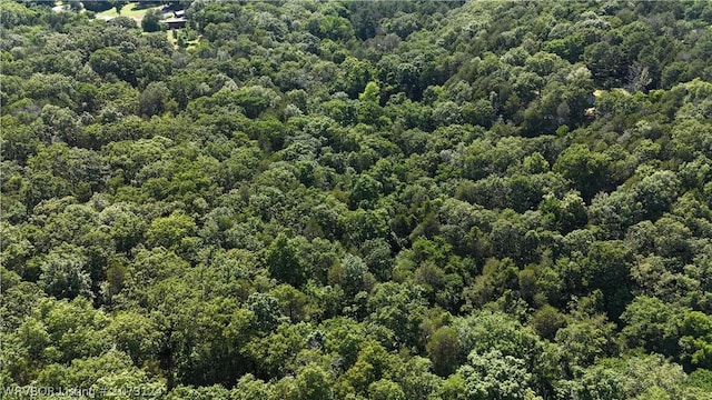 0000 Summer Loop, Cedarville, AR 72932 - photo 30
