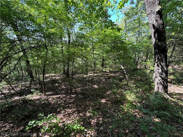 0000 Summer Loop, Cedarville, AR 72932 - photo 17
