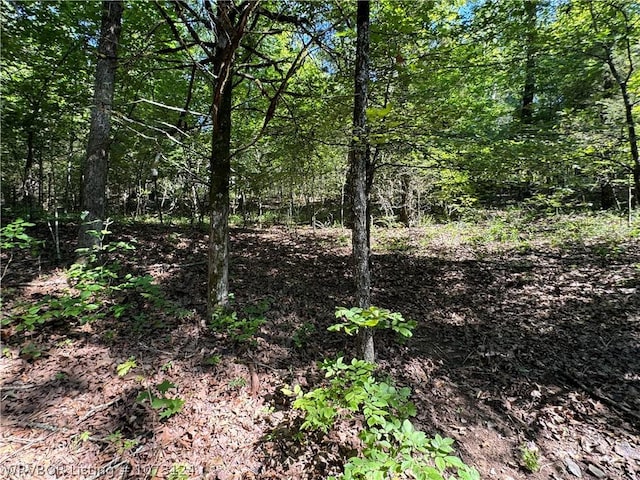0000 Summer Loop, Cedarville, AR 72932 - photo 22