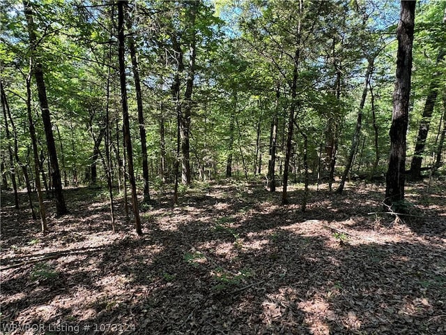 0000 Summer Loop, Cedarville, AR 72932 - photo 4