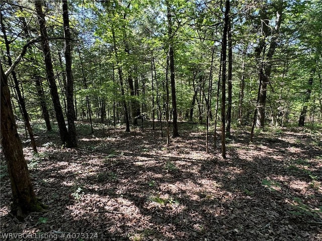 0000 Summer Loop, Cedarville AR, 72932 land for sale