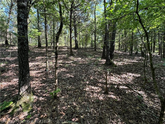 0000 Summer Loop, Cedarville, AR 72932 - photo 14