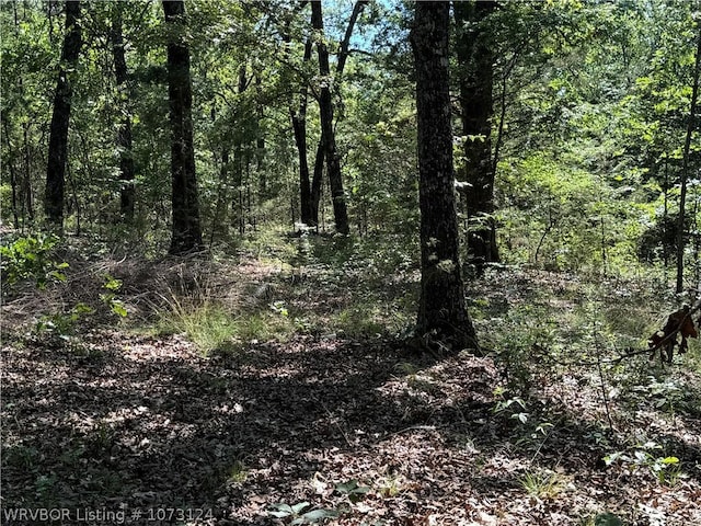 0000 Summer Loop, Cedarville, AR 72932 - photo 9