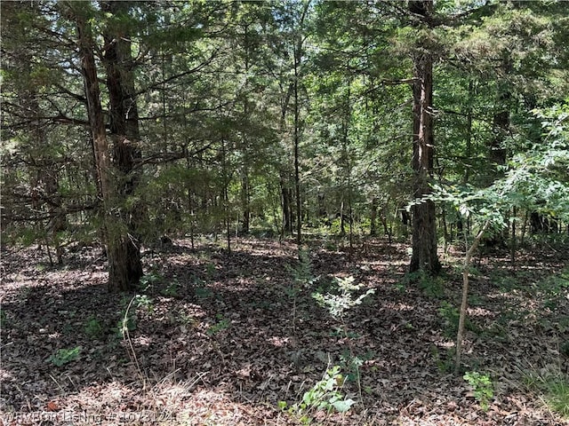 0000 Summer Loop, Cedarville, AR 72932 - photo 8