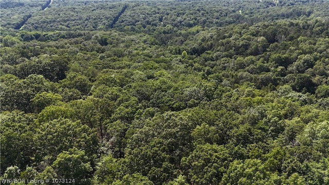 0000 Summer Loop, Cedarville, AR 72932 - photo 36