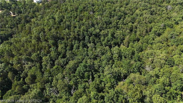 0000 Summer Loop, Cedarville, AR 72932 - photo 31