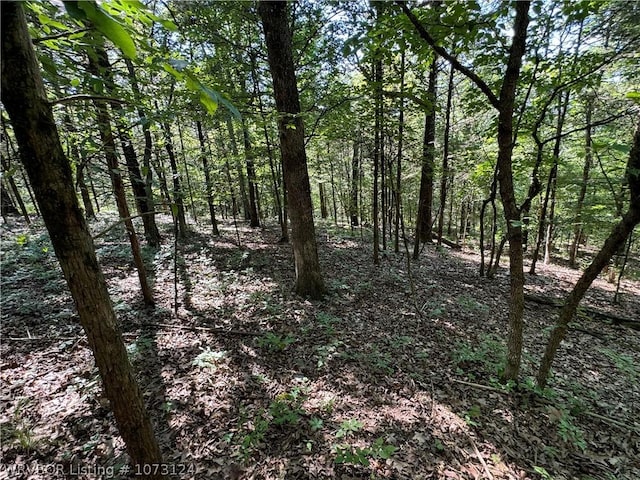 0000 Summer Loop, Cedarville, AR 72932 - photo 12