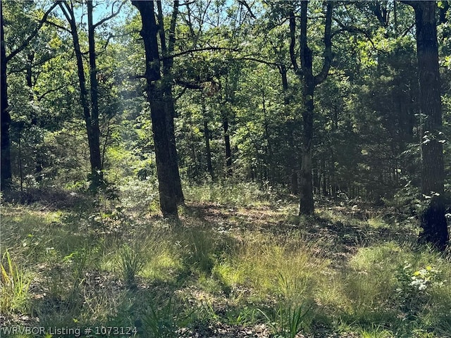 0000 Summer Loop, Cedarville, AR 72932 - photo 10