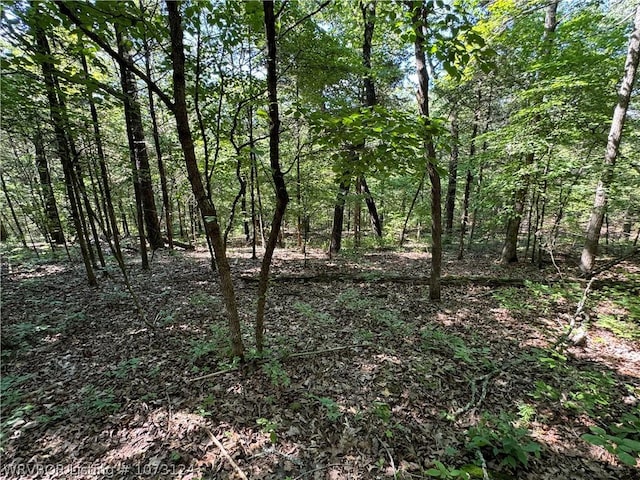 0000 Summer Loop, Cedarville, AR 72932 - photo 6