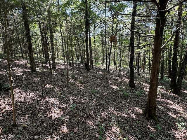 0000 Summer Loop, Cedarville, AR 72932 - photo 2