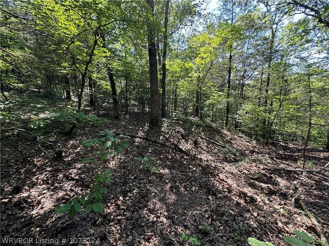 0000 Summer Loop, Cedarville, AR 72932 - photo 24