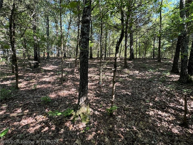 0000 Summer Loop, Cedarville, AR 72932 - photo 13