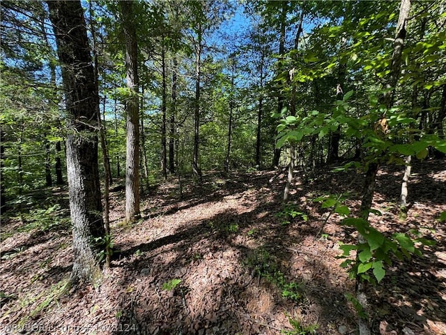 0000 Summer Loop, Cedarville, AR 72932 - photo 25