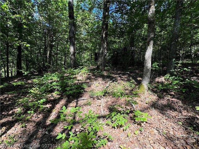 0000 Summer Loop, Cedarville, AR 72932 - photo 21