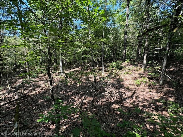 0000 Summer Loop, Cedarville, AR 72932 - photo 20
