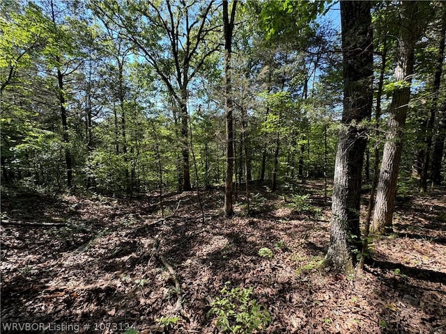 0000 Summer Loop, Cedarville, AR 72932 - photo 26