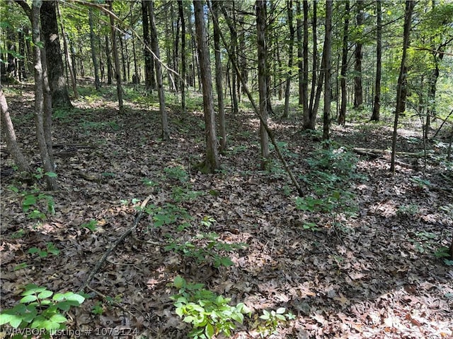 0000 Summer Loop, Cedarville, AR 72932 - photo 15