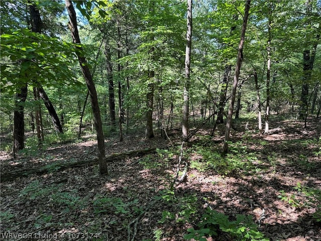 0000 Summer Loop, Cedarville, AR 72932 - photo 5