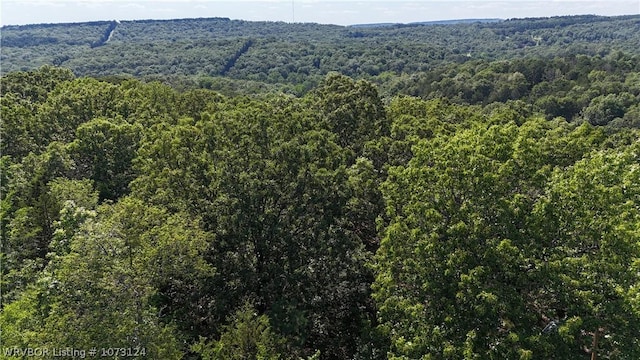 0000 Summer Loop, Cedarville, AR 72932 - photo 38