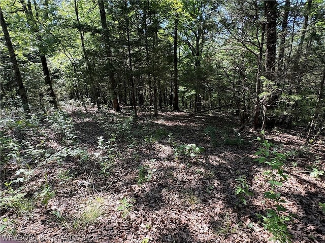 0000 Summer Loop, Cedarville, AR 72932 - photo 7