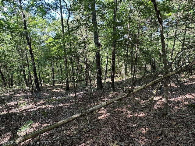 0000 Summer Loop, Cedarville, AR 72932 - photo 3