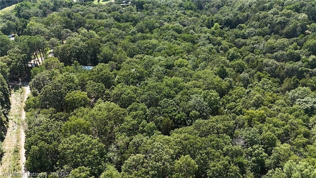 0000 Summer Loop, Cedarville, AR 72932 - photo 33