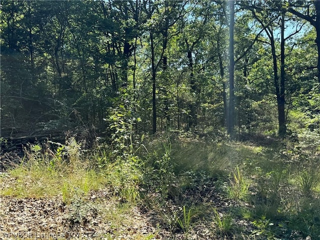 0000 Summer Loop, Cedarville, AR 72932 - photo 11