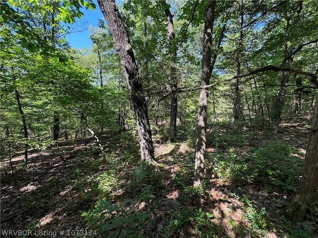 0000 Summer Loop, Cedarville, AR 72932 - photo 16