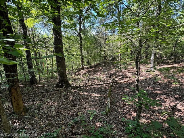 0000 Summer Loop, Cedarville, AR 72932 - photo 19