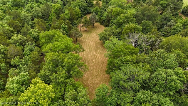 33971 Holson Valley Rd, Wister, OK 74966 - bird's eye view