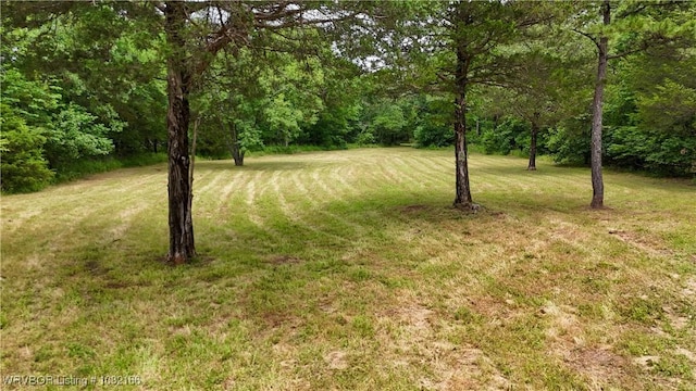 33971 Holson Valley Rd, Wister, OK 74966 - view of green lawn featuring a forest view