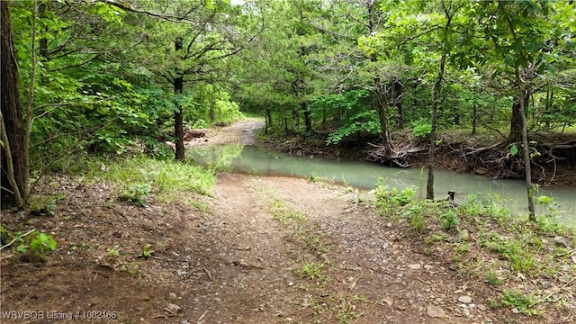 33971 Holson Valley Rd, Wister, OK 74966 - water view