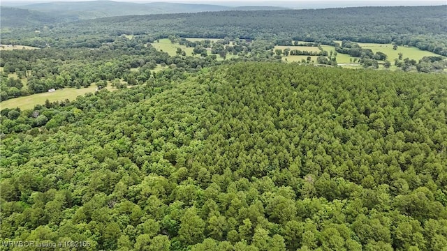 33971 Holson Valley Rd, Wister, OK 74966 - aerial view of a forest and a mountainous background