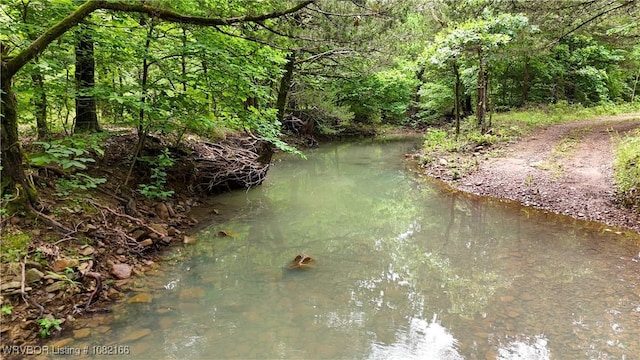 33971 Holson Valley Rd, Wister, OK 74966 - water view with a heavily wooded area