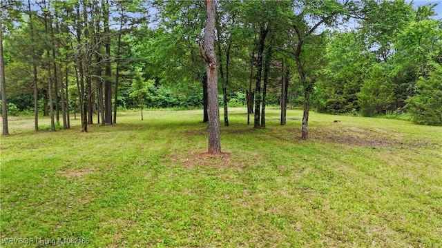 33971 Holson Valley Rd, Wister, OK 74966 - view of grassy yard