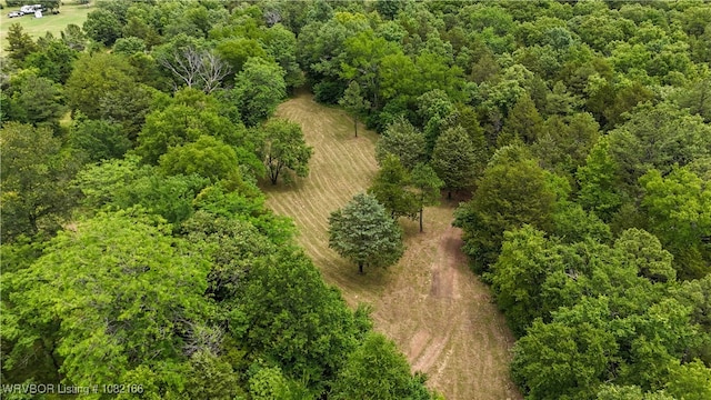 33971 Holson Valley Rd, Wister, OK 74966 - aerial view