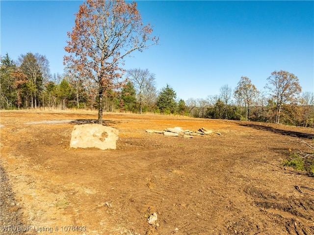 Listing photo 3 for TBD Boot Hill Trl, Cedarville AR 72932