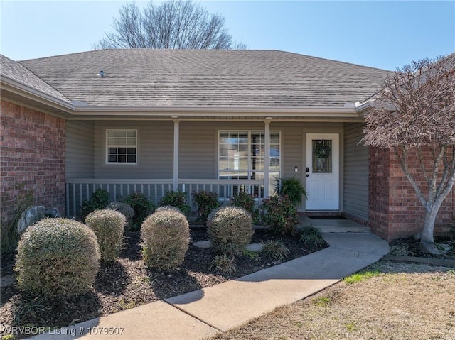 view of exterior entry with brick siding, covered porch, and a shingled roof