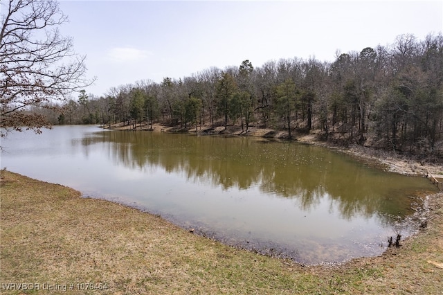 water view with a view of trees