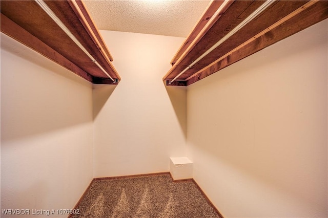 walk in closet featuring carpet flooring