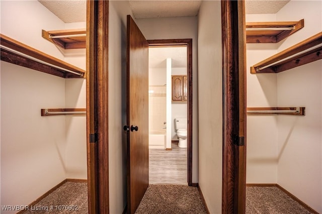 interior space featuring a textured ceiling and carpet floors