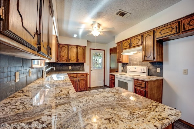 kitchen with kitchen peninsula, a healthy amount of sunlight, white appliances, and sink