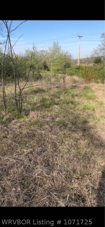 Listing photo 2 for TBD S Hopkins Rd, Charleston AR 72933