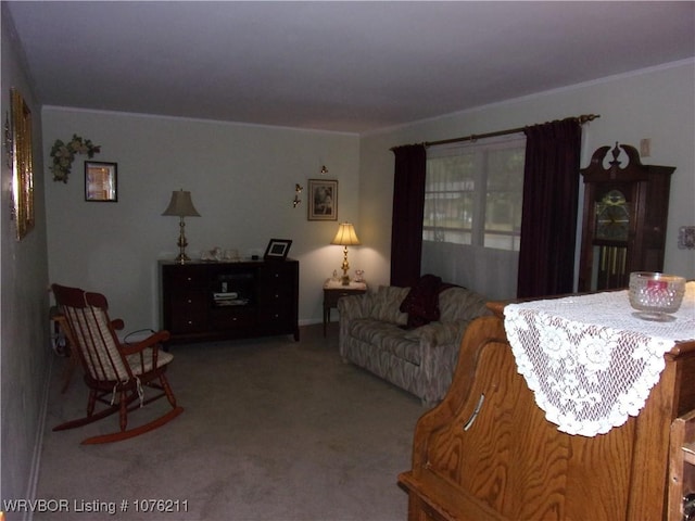 living room featuring carpet floors