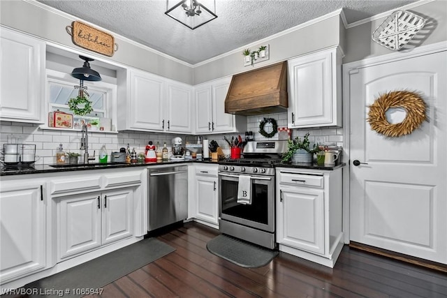 kitchen with white cabinets, sink, premium range hood, and stainless steel appliances