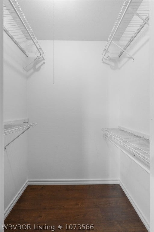 spacious closet featuring dark hardwood / wood-style flooring