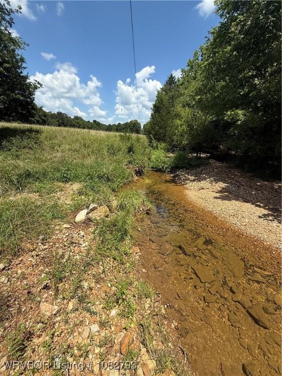 TBD Upper Janes Creek Rd, Ar, AR 72459 - photo 7