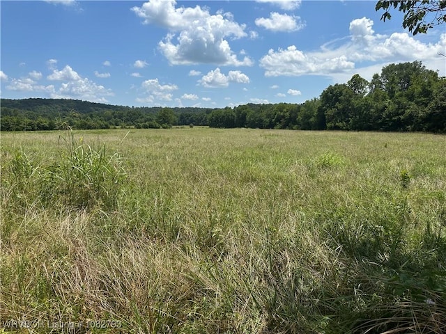 TBD Upper Janes Creek Rd, Ar, AR 72459 - photo 15