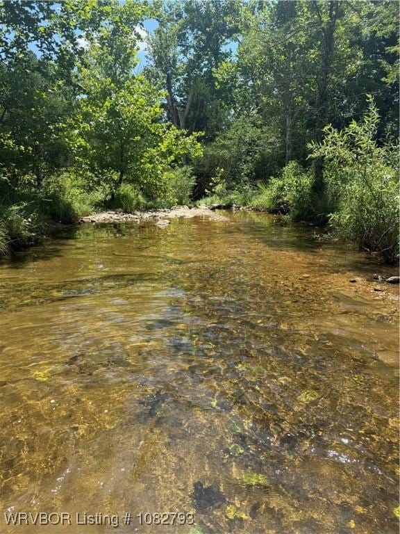 TBD Upper Janes Creek Rd, Ar, AR 72459 - photo 3